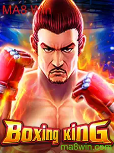 Desvendando o Mundo de BoxingKing: Um Guia Completo