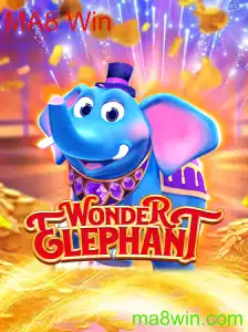 Explorando o Fascinante Mundo de WonderElephant